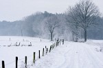 Winter Wonderland Baarle-Nassau. : The Netherlands