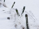 Winter Wonderland Baarle-Nassau. : The Netherlands